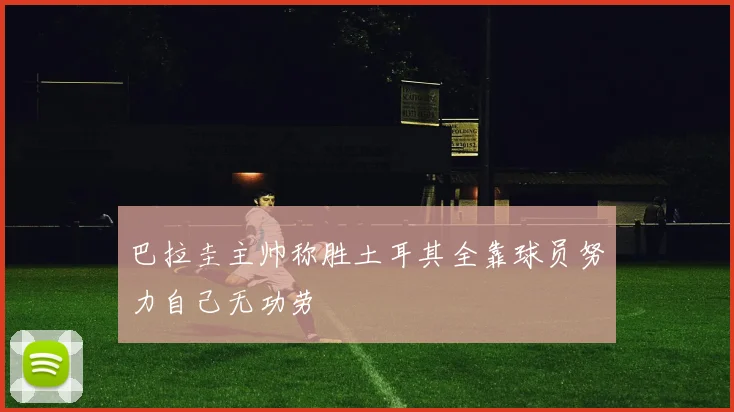 巴拉圭主帅称胜土耳其全靠球员努力自己无功劳